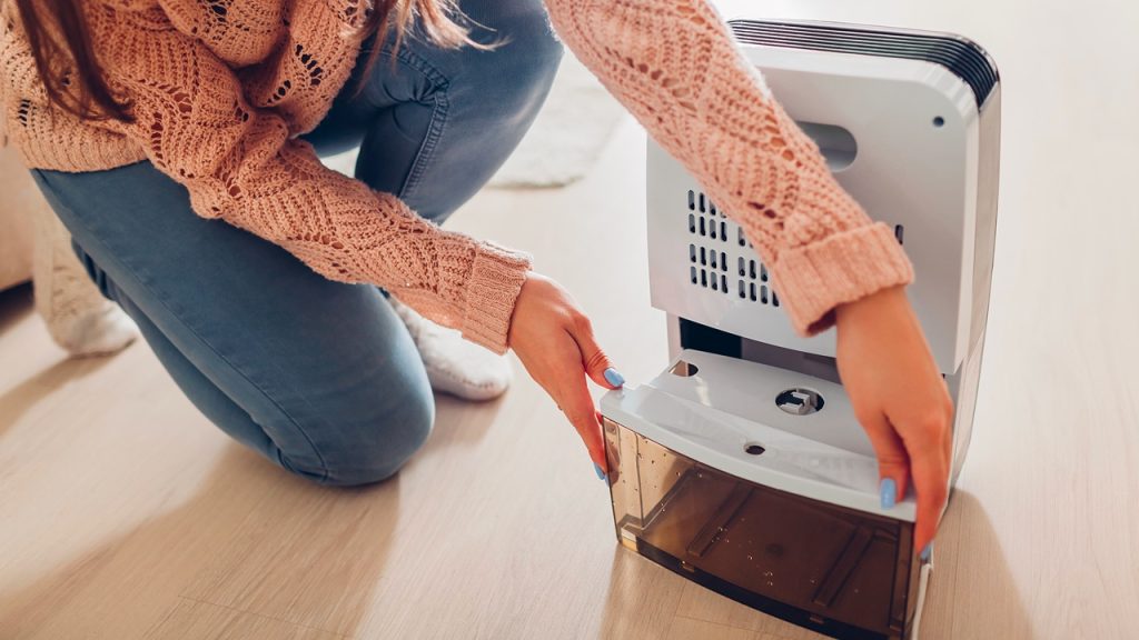 Woman changing water container of dehumidifier at home. Dampness in apartment. Modern air dryer