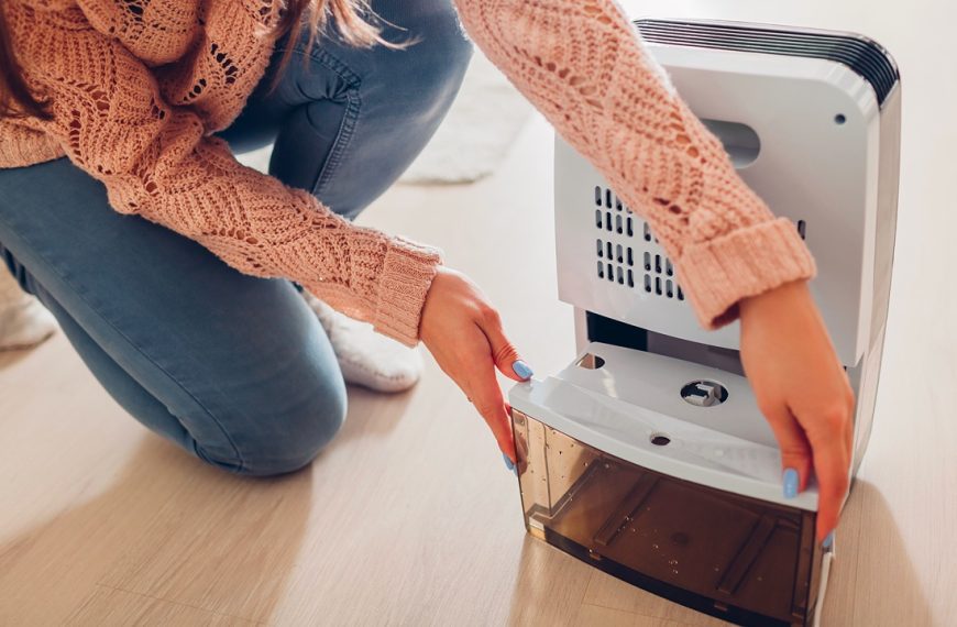 Woman changing water container of dehumidifier at home. Dampness in apartment. Modern air dryer