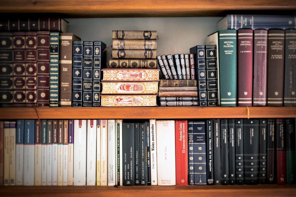 Bookshelf with a collection of vintage books, leather-bound spines, assorted colors and sizes, some stacked horizontally, wooden shelf background