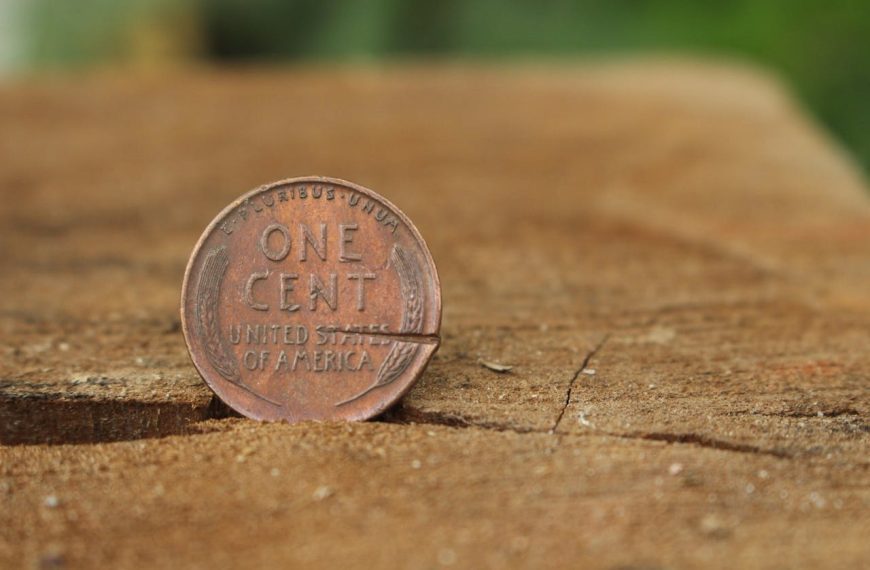 Worn one cent coin standing upright on rough tree bark, natural outdoor background, visible surface cracks