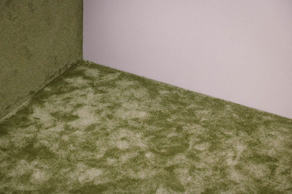 Green stained or moldy carpet against white wall showing water damage or contamination