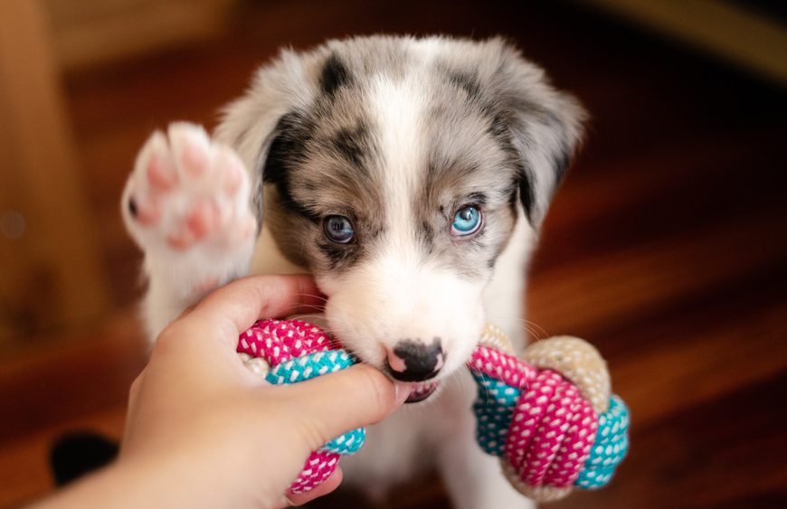 15 Things You Have Too Many Of (And Don’t Even Realize It)