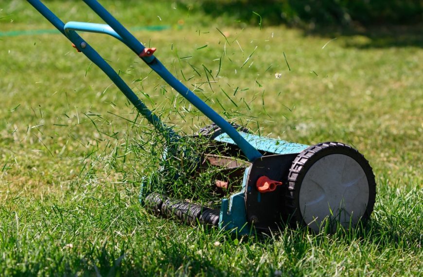 manual push lawn mower, blue handle, cutting green grass, sunny day, close-up view