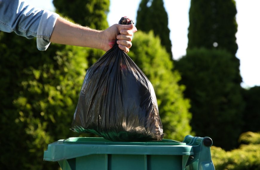 Hand placing black garbage bag into green outdoor bin, surrounded by tall green trees, bright daylight