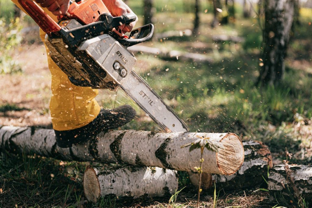 Person using chainsaw, cutting birch log, wood chips flying, outdoor forest setting, safety gear worn, active logging or tree-cutting scene, fallen tree trunks on ground