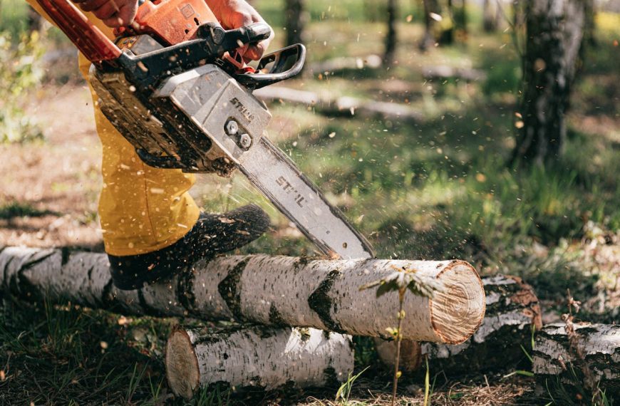 Person using chainsaw, cutting birch log, wood chips flying, outdoor forest setting, safety gear worn, active logging or tree-cutting scene, fallen tree trunks on ground