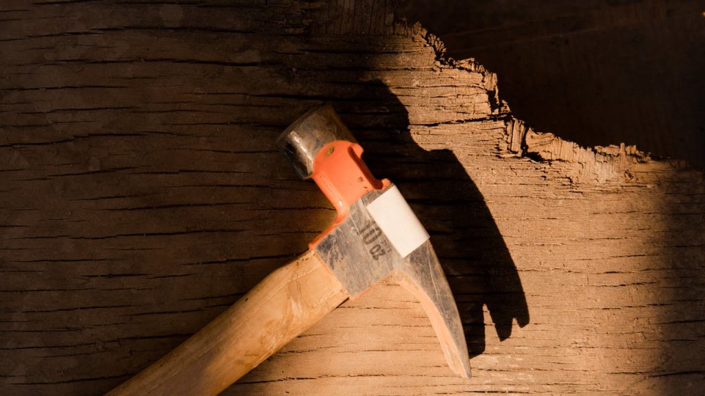 Claw hammer with a wooden handle, labeled 16 oz, resting on rough wooden surface, partially lit by sunlight, casting a clear shadow