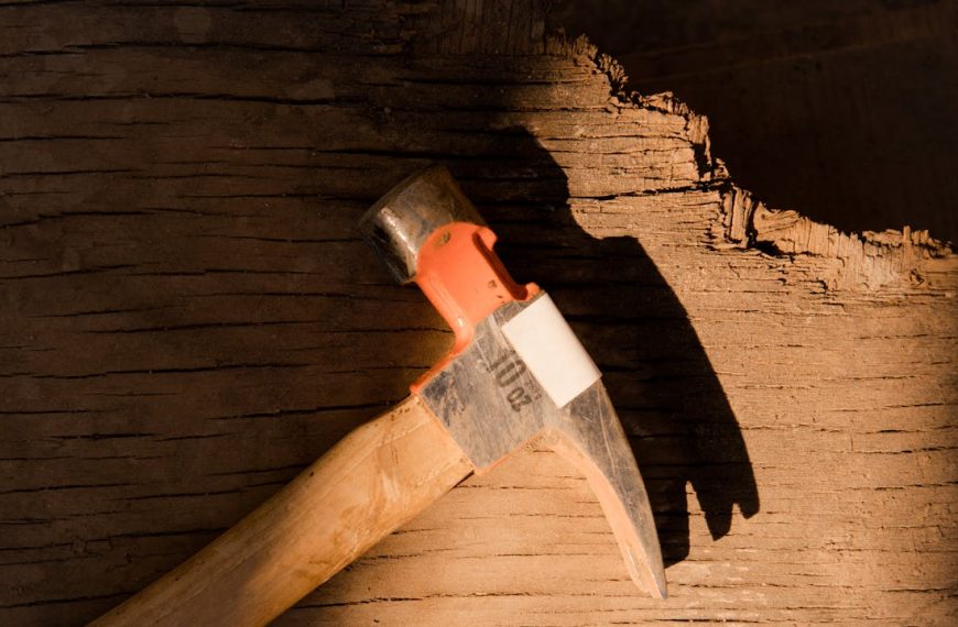 Claw hammer with a wooden handle, labeled 16 oz, resting on rough wooden surface, partially lit by sunlight, casting a clear shadow