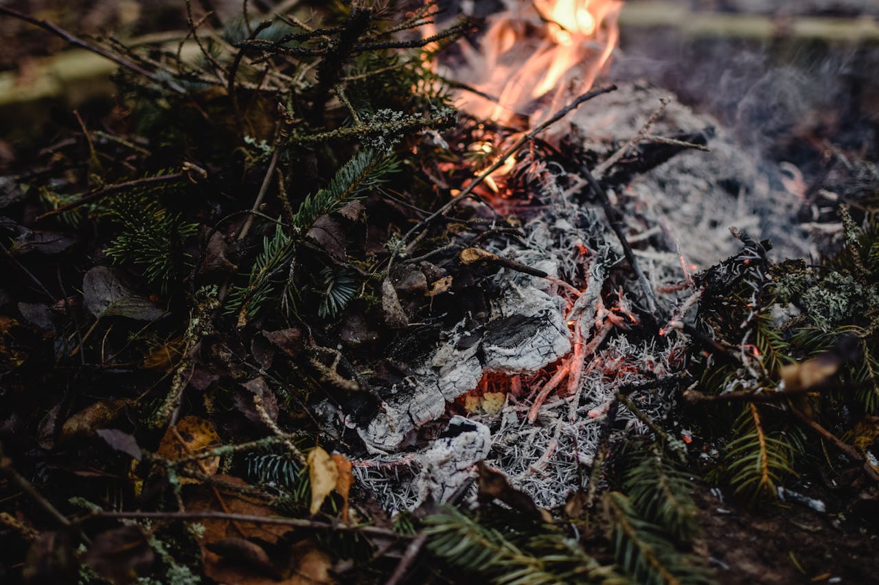 Burning campfire with glowing embers, pine needles, dry leaves, and twigs, small orange flames, white ash scattered around, forest floor setting