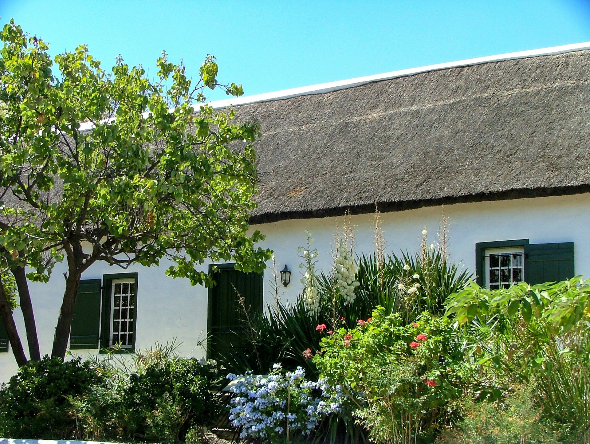 White cottage with thatched roof, green shutters, and lush garden filled with colorful flowers and small trees