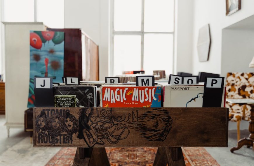 Wooden vinyl record crate with band illustrations, containing alphabetically organized albums including "Magic Music," Passport, and Led Zeppelin records, displayed in bright room with large windows
