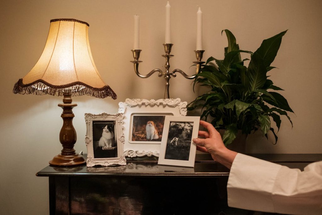 Vintage wooden table with a classic fabric lampshade, candelabra, framed black-and-white family photos, and a green houseplant