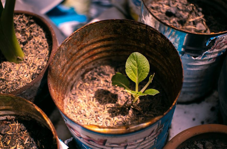 13 Things Grandma Never Wasted&hellip;