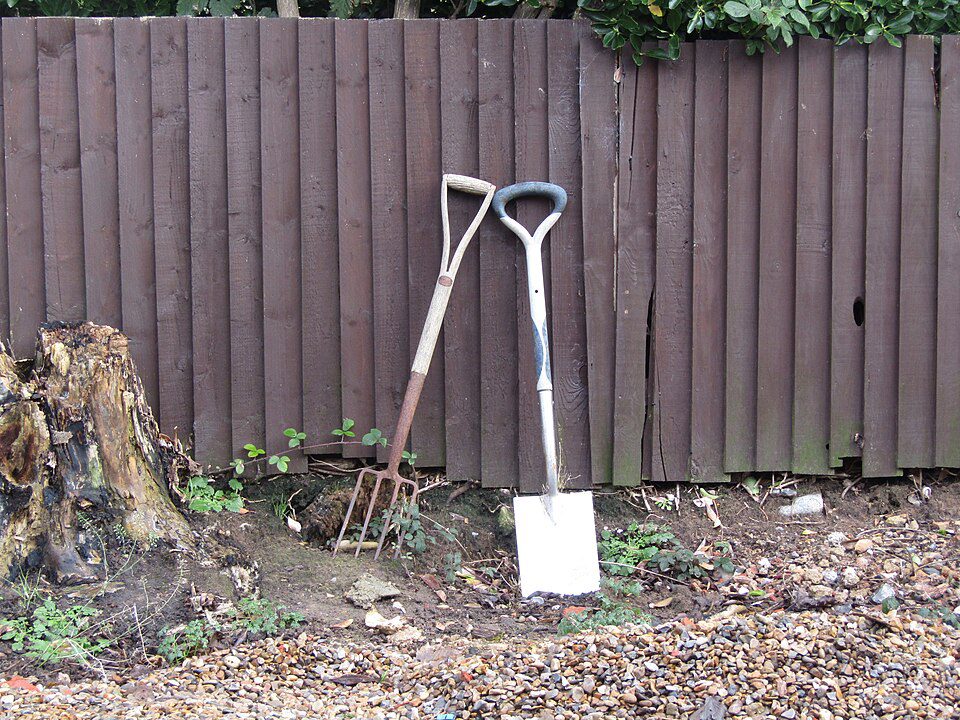 Garden fork and spade leaning against a brown wooden fence, standing on a patch of dirt and gravel with scattered leaves and small plants