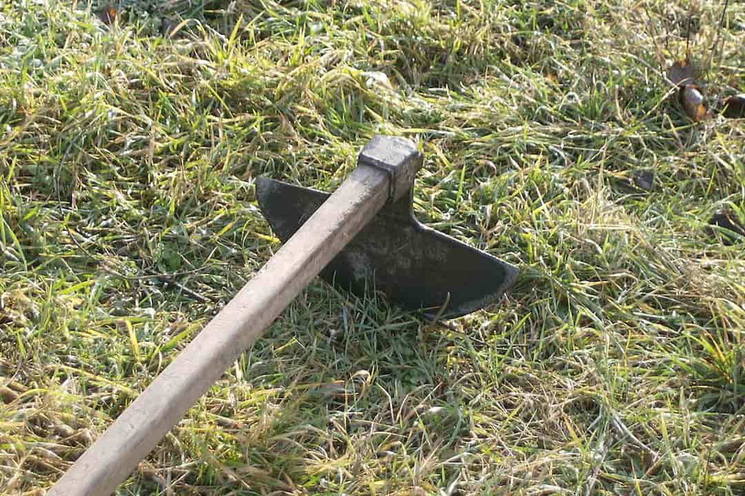 Antique garden hoe with a long wooden handle and a wide wrought iron blade, resting on patchy green grass