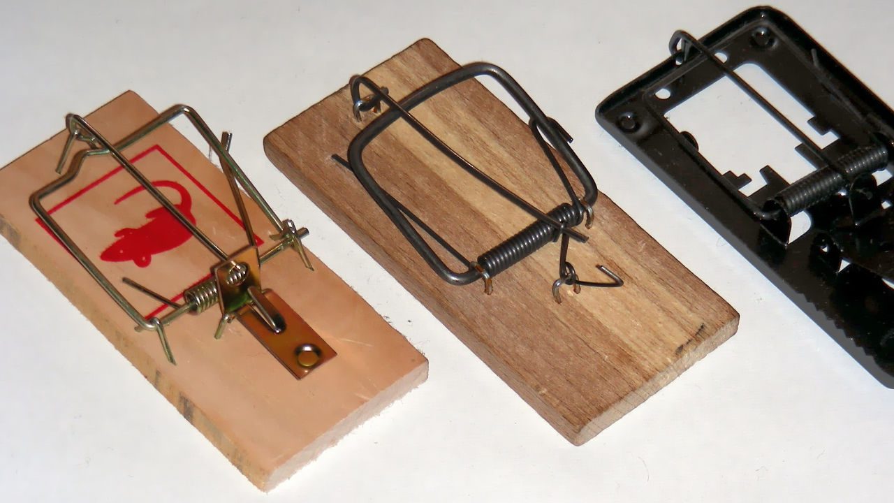 Pest control demonstration, antique tool collection, evolution of rodent traps, home maintenance tutorial, DIY rodent prevention tips