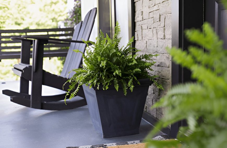 Boston ferns sitting on porch near front door way with an Adirondack rocking chair. Extreme selective focus with blurred foreground and background.