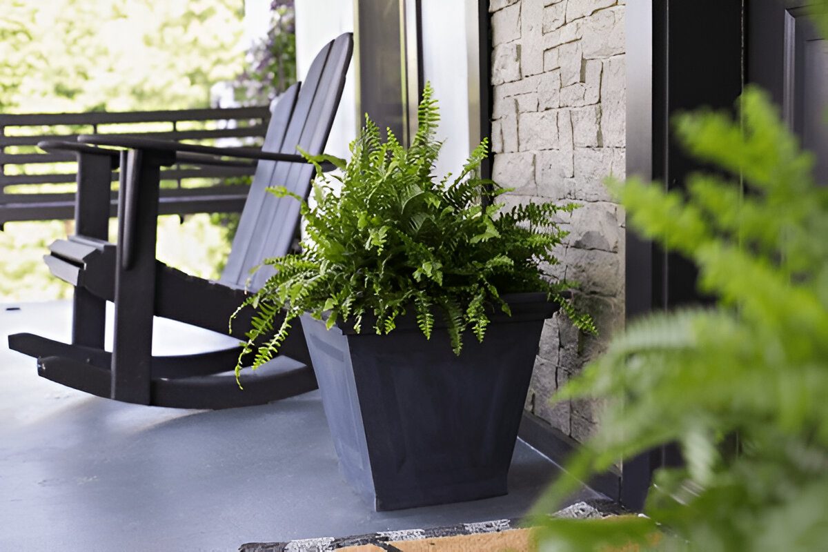 Image Credit: Shutterstock