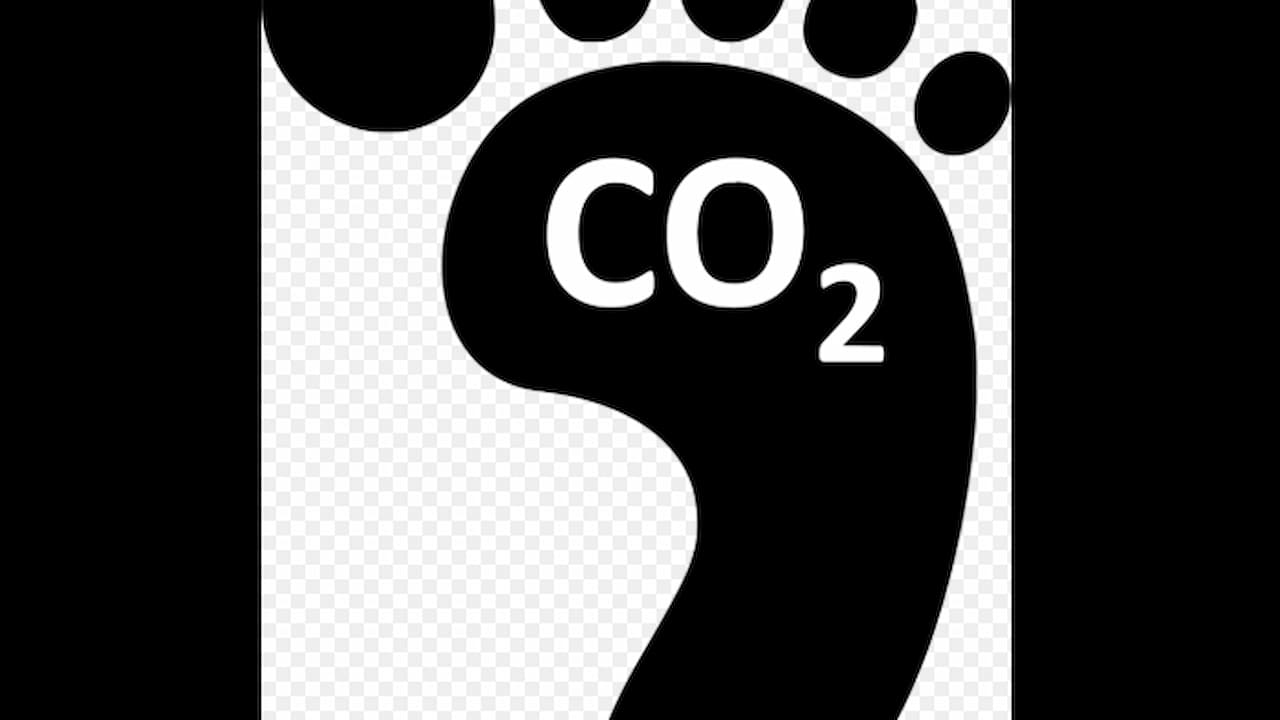 Black footprint icon with the text "CO₂" inside it, representing carbon footprint on a transparent background
