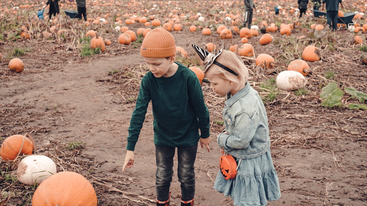 Two children standing in a pumpkin patch, pointing at pumpkins on the ground, surrounded by orange and white pumpkins
