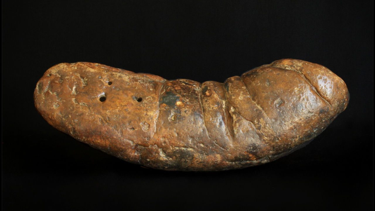 Large, irregularly shaped fossilized feces specimen with rough, textured surface, deep ridges, and visible mineral deposits