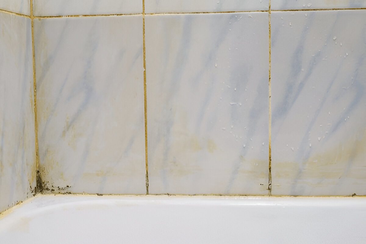 Foul odors caused by mildew and mold in bathroom toilet
