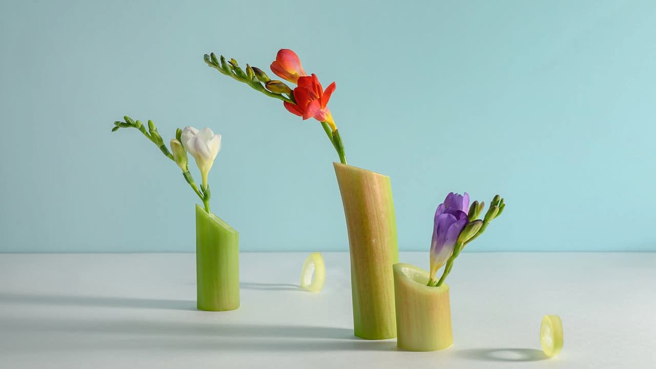 Three colorful flowers placed in upright celery stalks as vases, minimalistic design, light blue background, soft lighting, creative food art arrangement