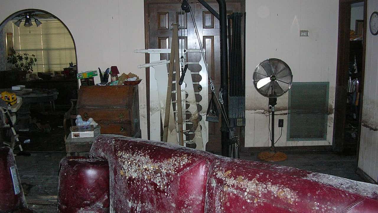 Living room with extensive mold damage, showing mold-covered red leather furniture, mold-stained walls, and water damage throughout the space