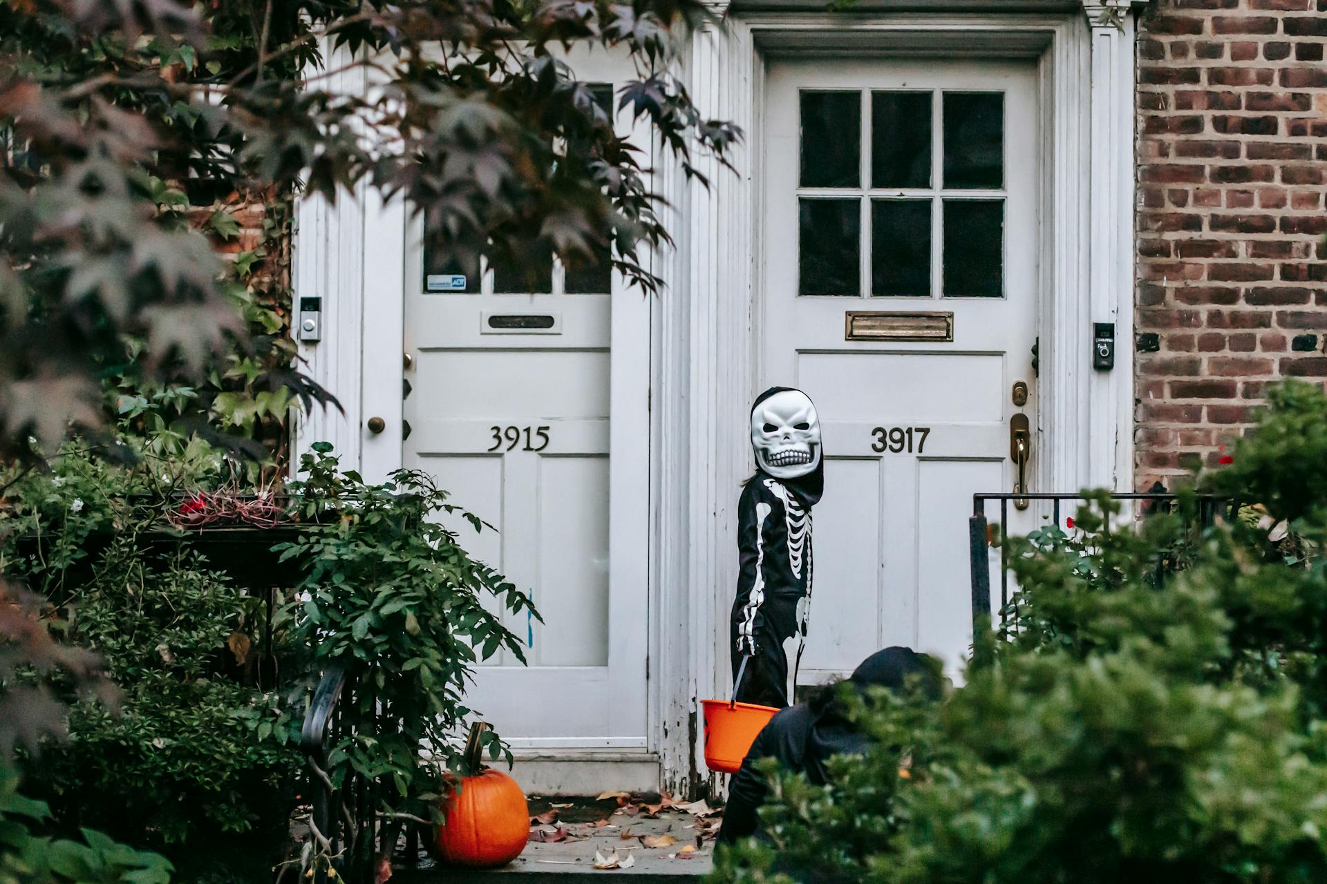 Overgrown shrubs near entrances