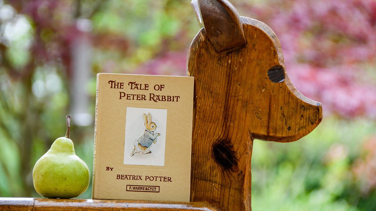Peter Rabbit