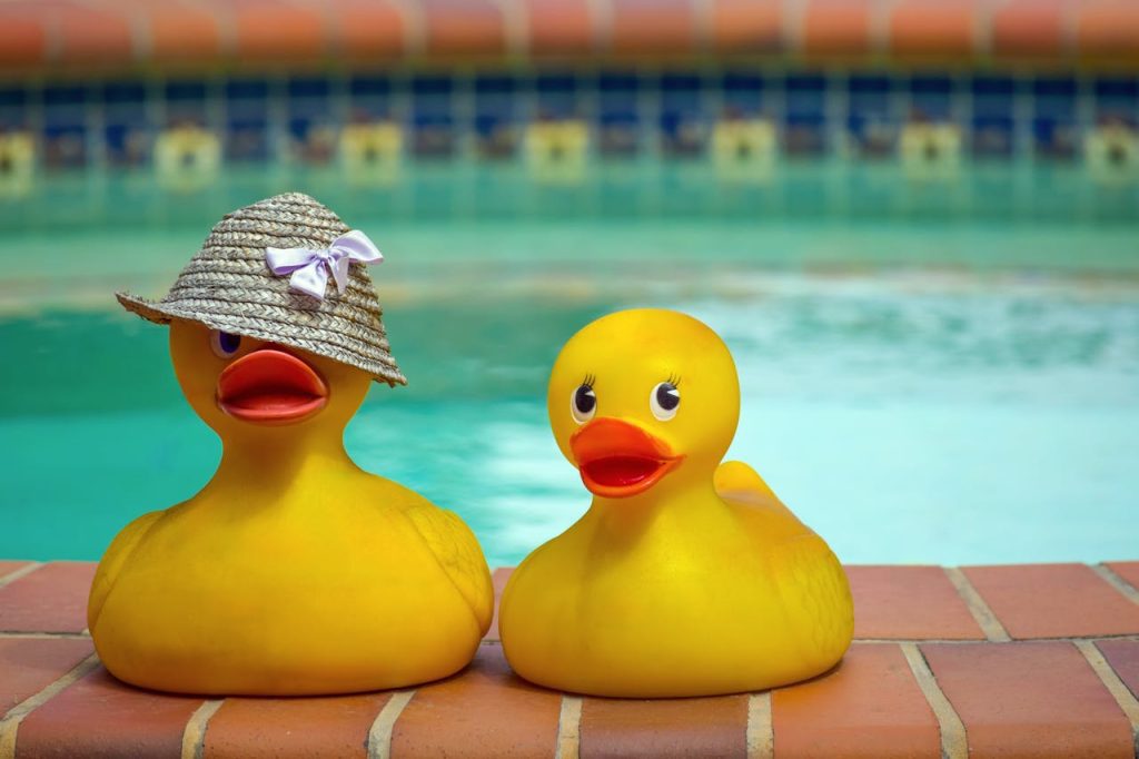 two yellow rubber ducks on brick poolside, one wearing a straw hat with a white ribbon, pool in background