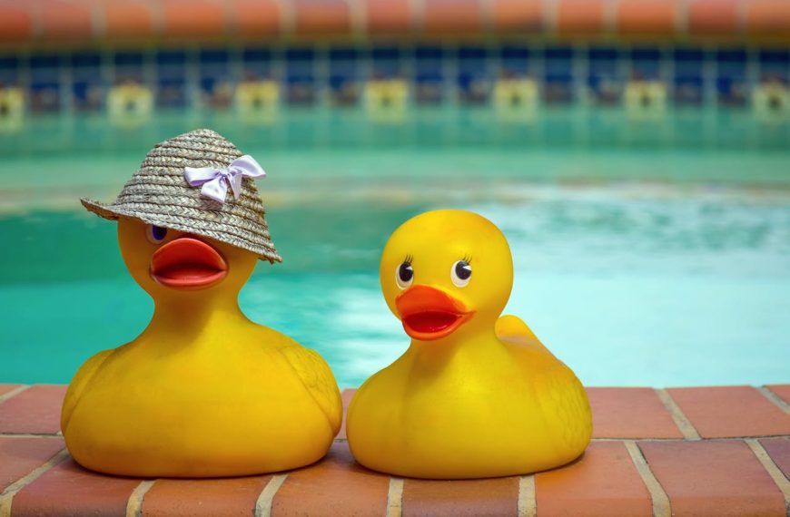 two yellow rubber ducks on brick poolside, one wearing a straw hat with a white ribbon, pool in background