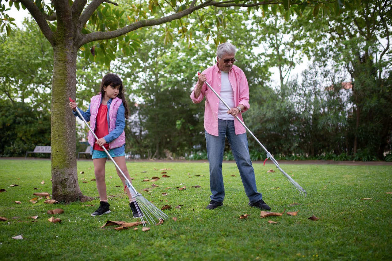 Older man in a pink shirt and jeans, raking fallen leaves with a young girl in a pink vest and denim jacket, standing on a grassy lawn