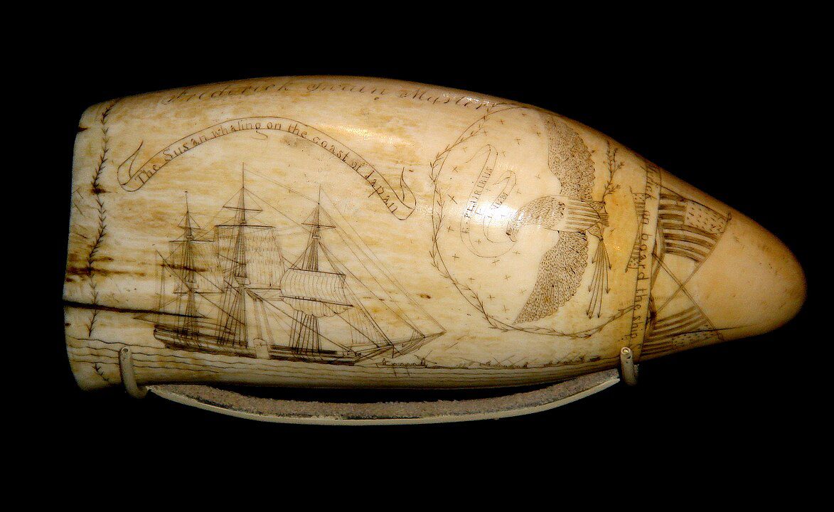 Scrimshaw whale tooth, engraved maritime scene, antique ivory carving, detailed etching of a ship, historic nautical artifact, smooth polished surface, displayed against black background, collectible whaling-era art, handcrafted sailor’s artwork, vintage maritime memorabilia
