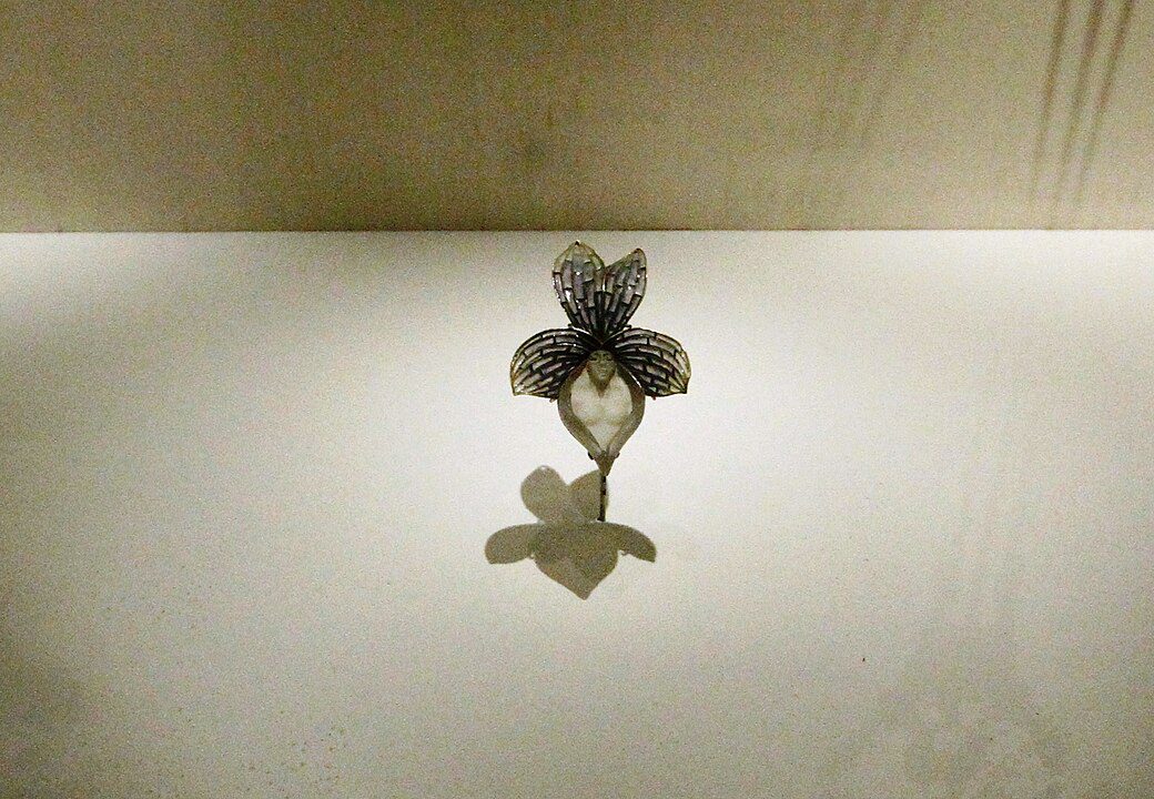 Delicate Art Nouveau brooch, shaped like an orchid flower, crafted with intricate filigree petals, pearl or opalescent center