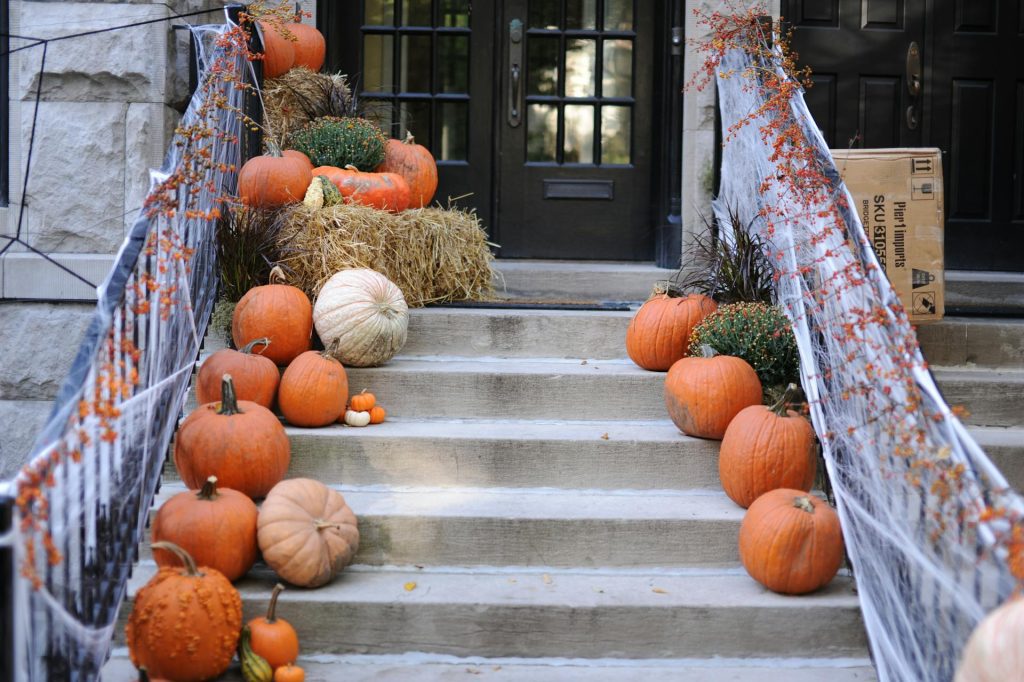13 Front Door Plants to Refresh for Fall