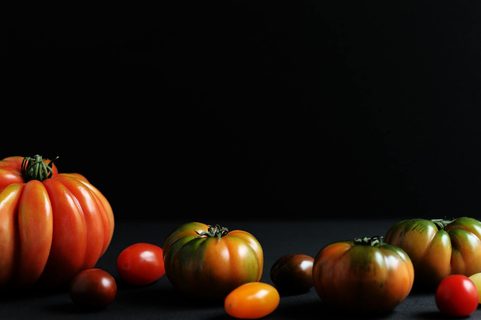 Fresh Tomatoes Against Black Background
