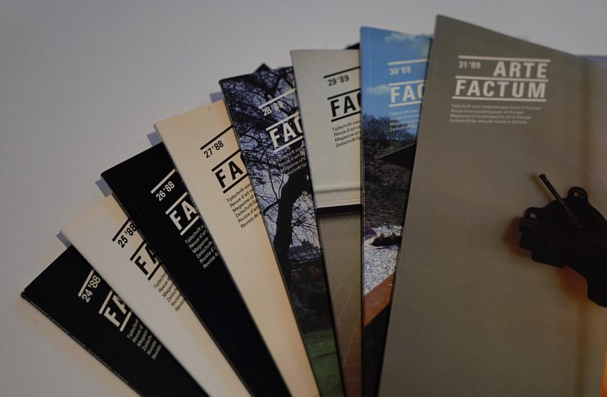 A fan arrangement of Arte Factum magazine issues, each labeled with a different number from 25 to 31, varying cover colors and images, upright on a white background