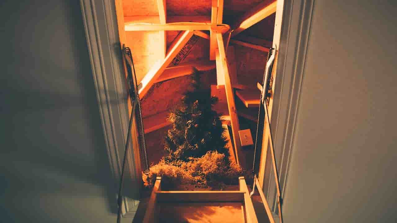 Dimly lit attic with exposed wooden beams, a folded ladder leading up, artificial Christmas tree and decorations stored inside