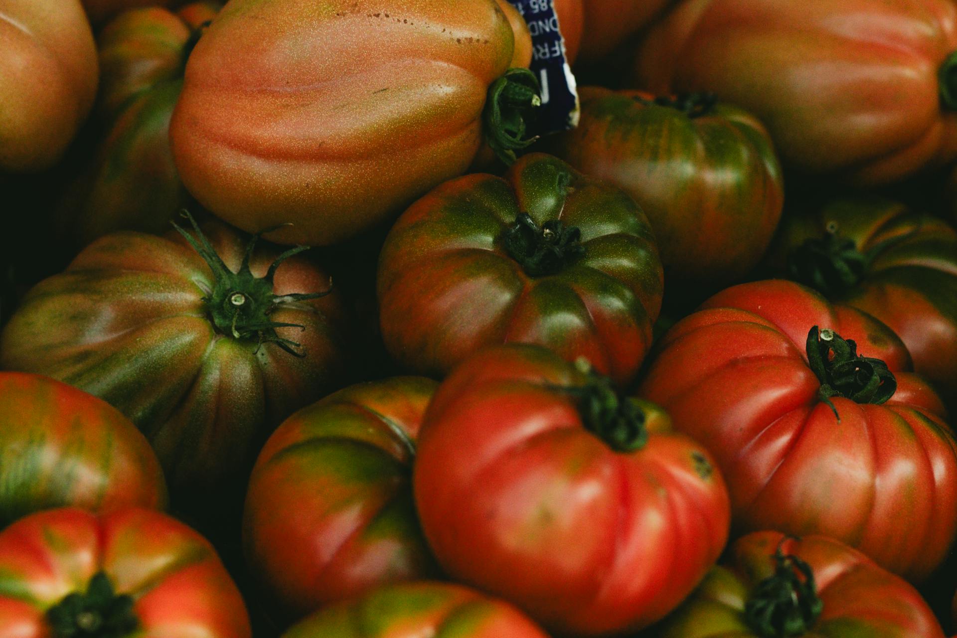 Red and Green Tomatoes