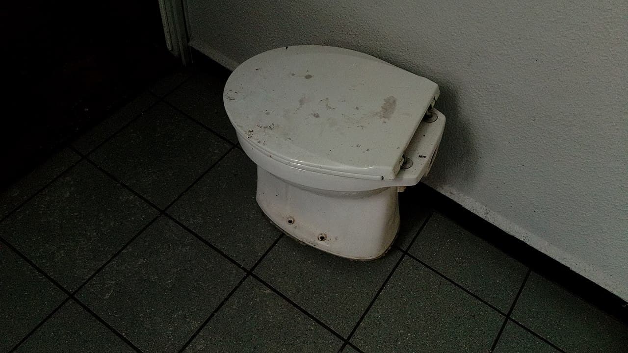 Dirty toilet seat, stained surface, visible grime, raised lid, white porcelain, unclean appearance, bathroom setting