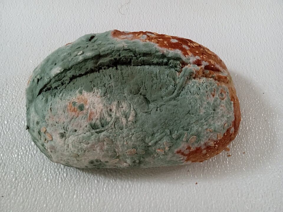 moldy loaf of bread, green and white mold covering surface, cracked crust, partially visible sesame seeds, sitting on white textured surface