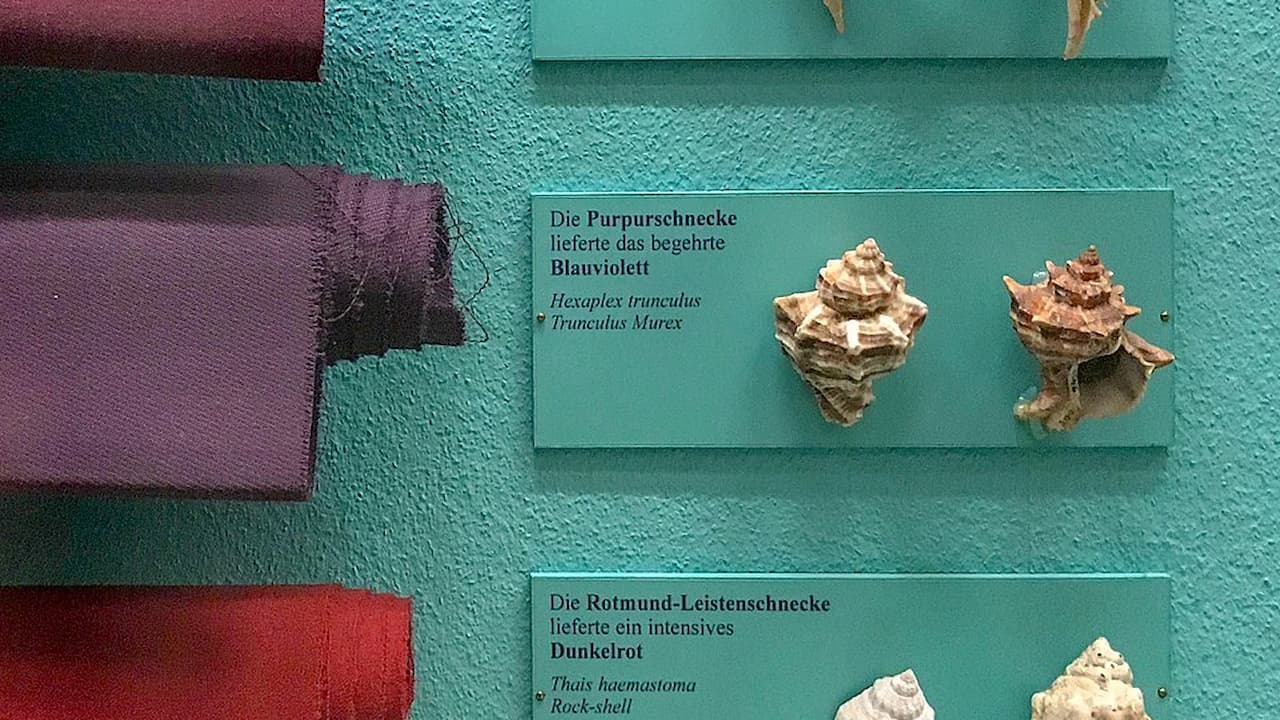 Display of labeled minerals or rock specimens, two small irregularly shaped brownish samples on a teal background, descriptive label beneath each specimen, partial view of a red and purple display case on the left