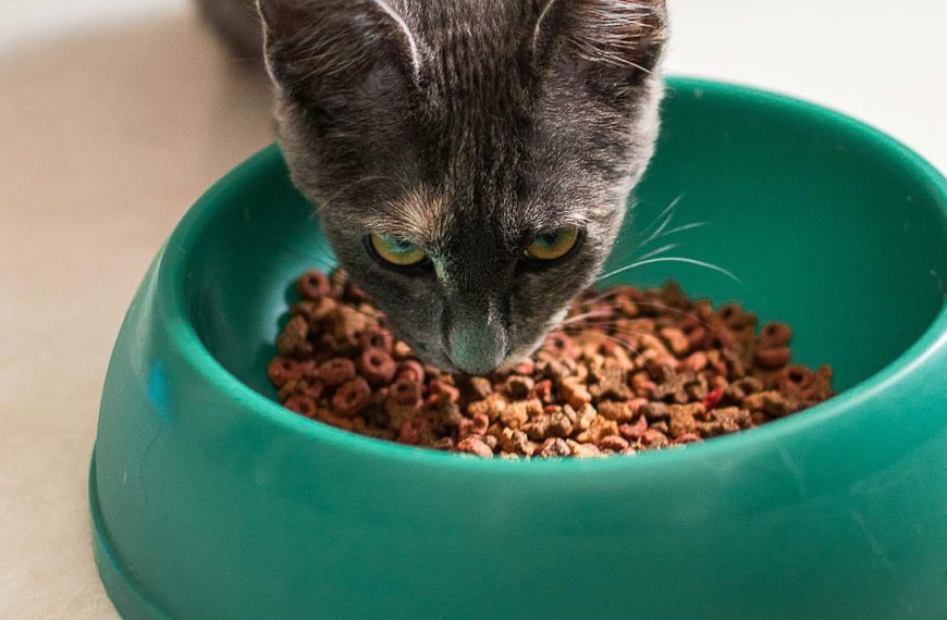 15 Filthy Spots That Take…