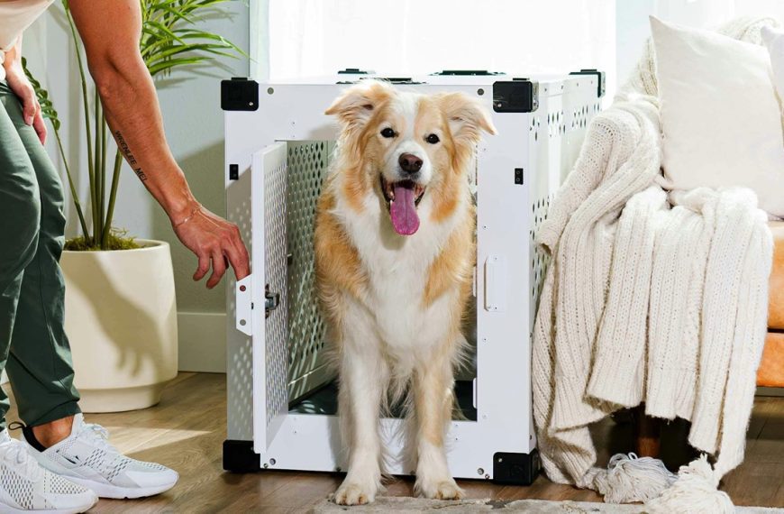 Bulky Items That Are Hogging Space in Your Home