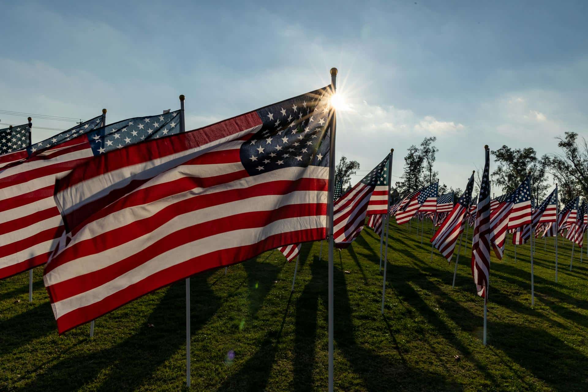 American Flags on a Grassy Field