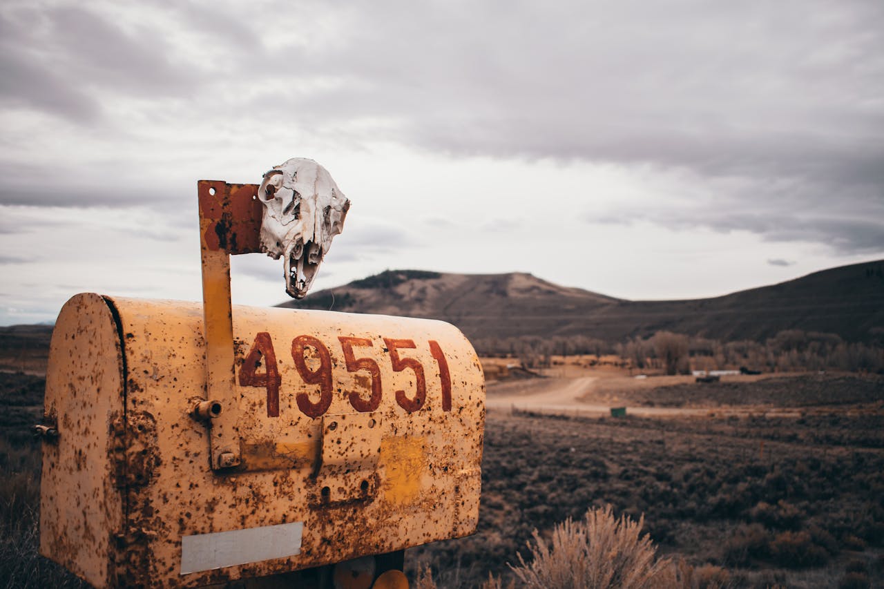 Rusty yellow mailbox with house number 49551 and an animal skull mounted on top, in a rural setting