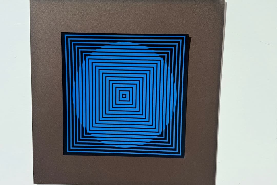 Op Art print, black and white geometric patterns, optical illusion effect, concentric circles and wavy lines, high contrast, abstract design, flat surface