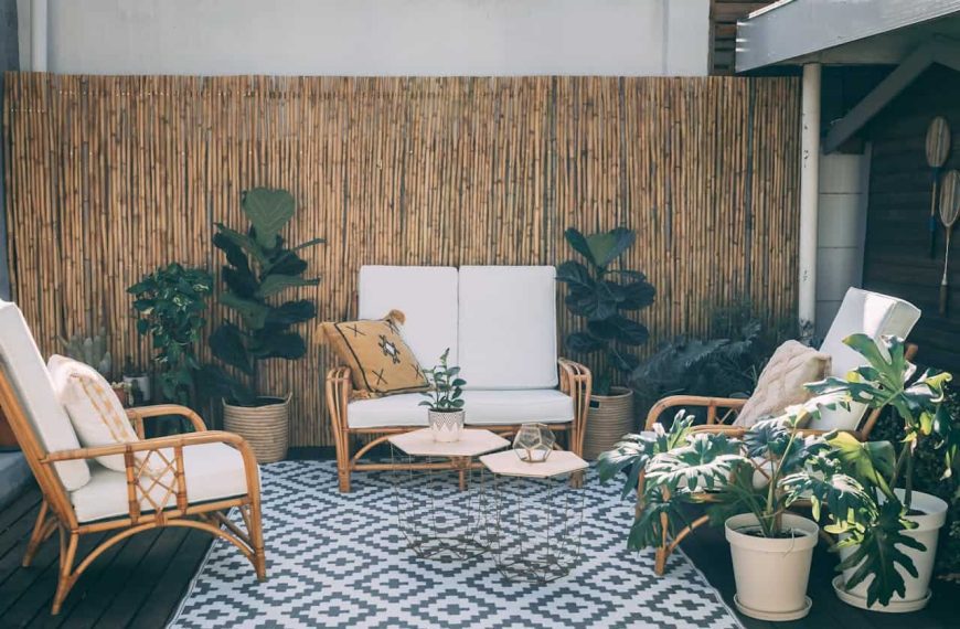 outdoor patio with plant and furnitures