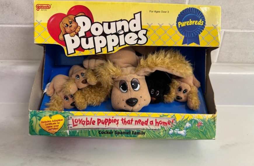 Pound Puppies